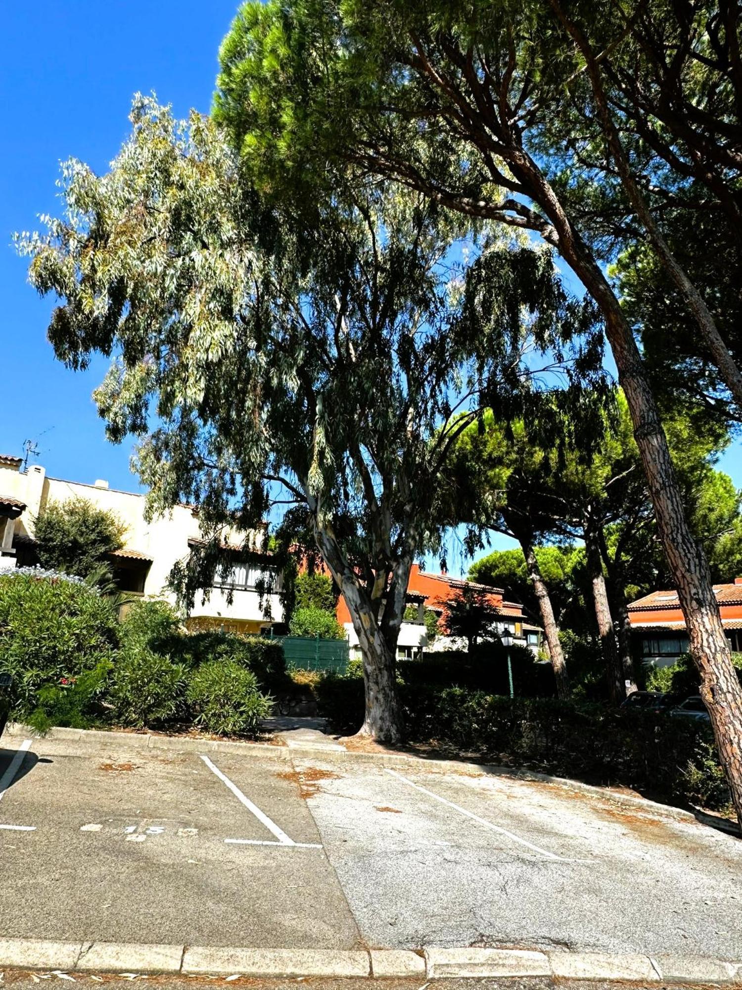 Frejus - Appartement 4 Personnes - Piscine Exterior foto